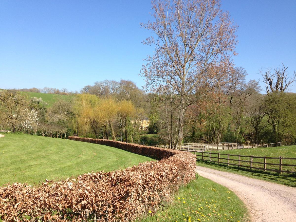 Bagnell Cottage Chiselborough 外观 照片