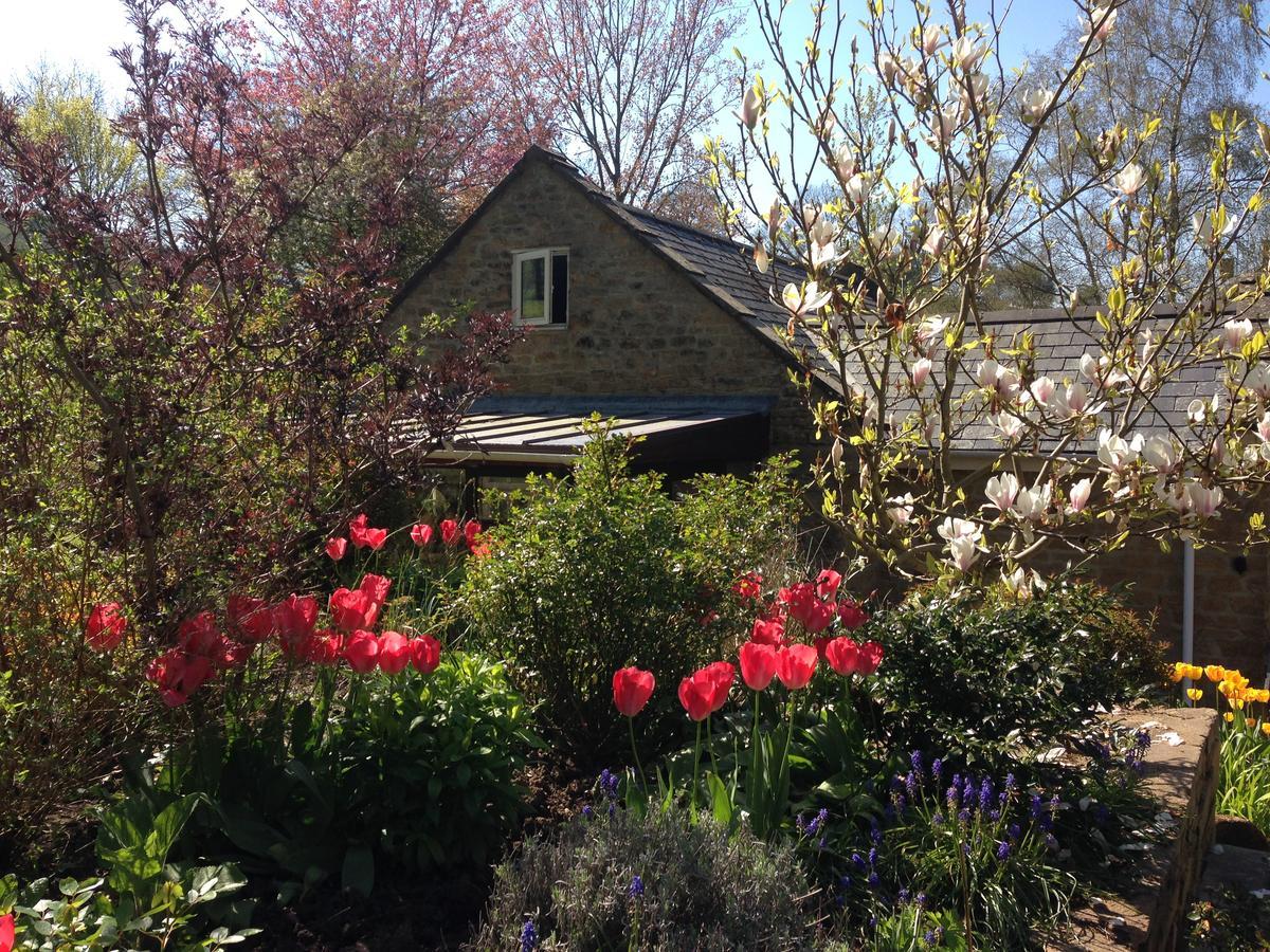 Bagnell Cottage Chiselborough 外观 照片