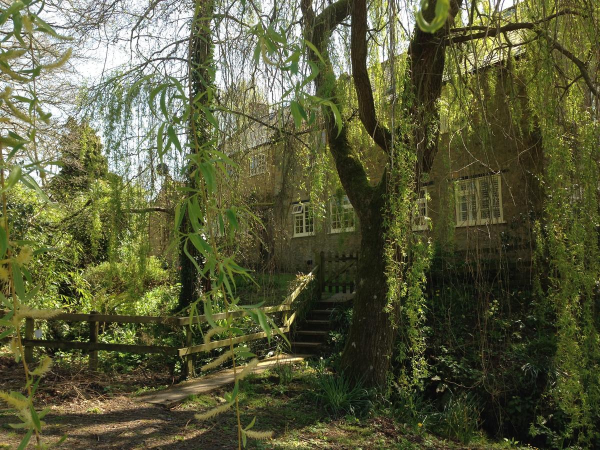 Bagnell Cottage Chiselborough 外观 照片