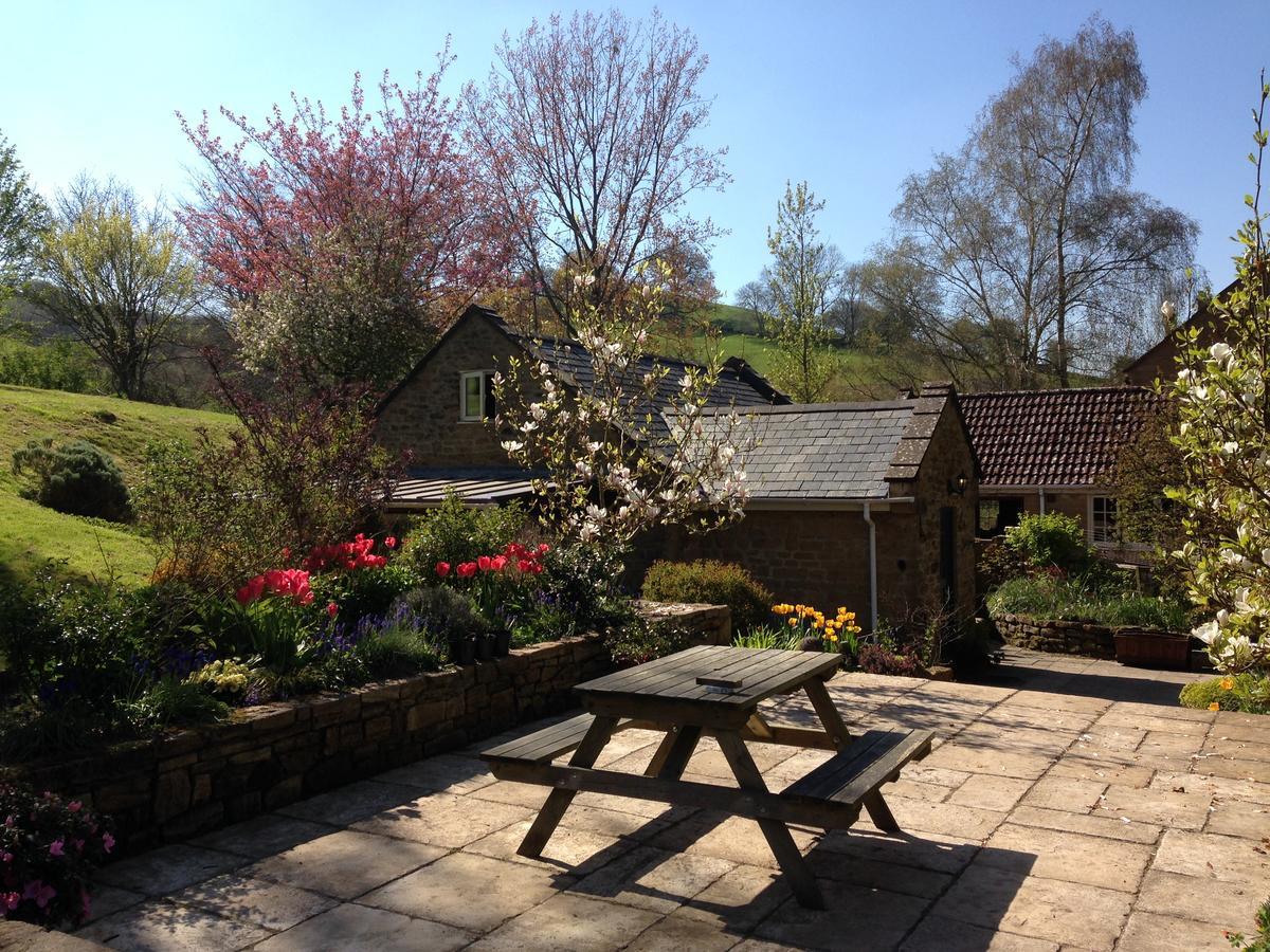 Bagnell Cottage Chiselborough 外观 照片