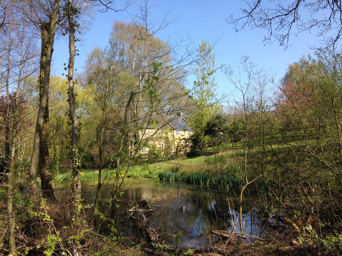 Bagnell Cottage Chiselborough 外观 照片