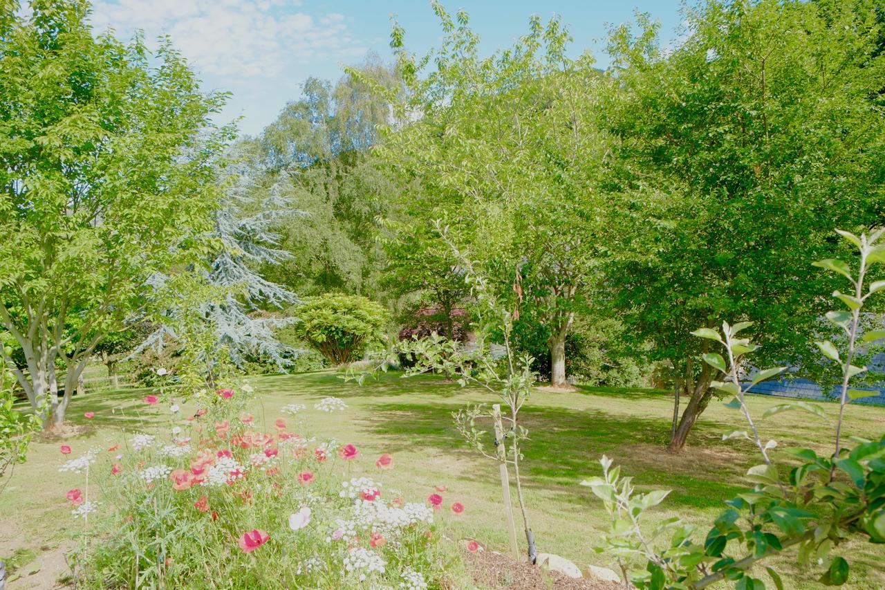 Bagnell Cottage Chiselborough 外观 照片