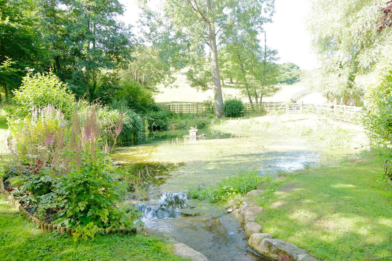 Bagnell Cottage Chiselborough 外观 照片
