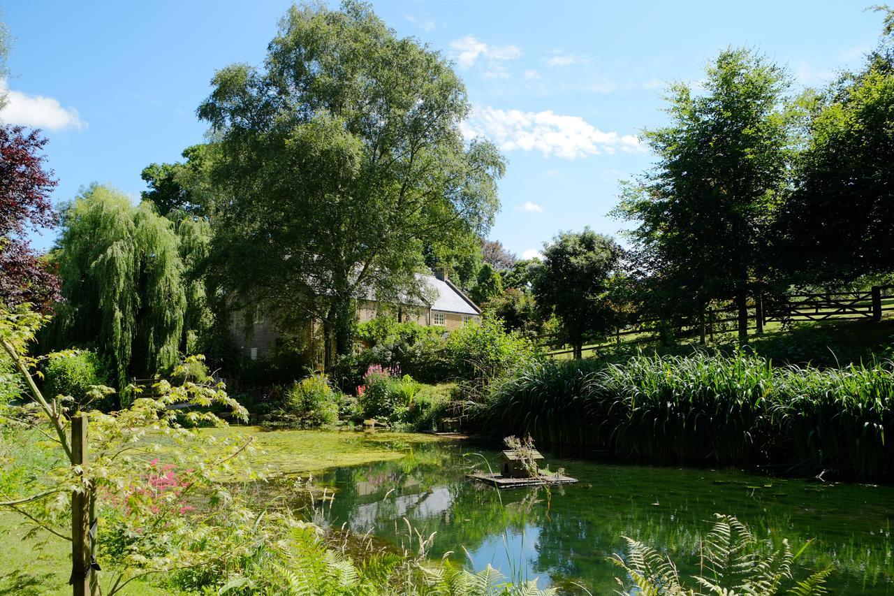 Bagnell Cottage Chiselborough 外观 照片