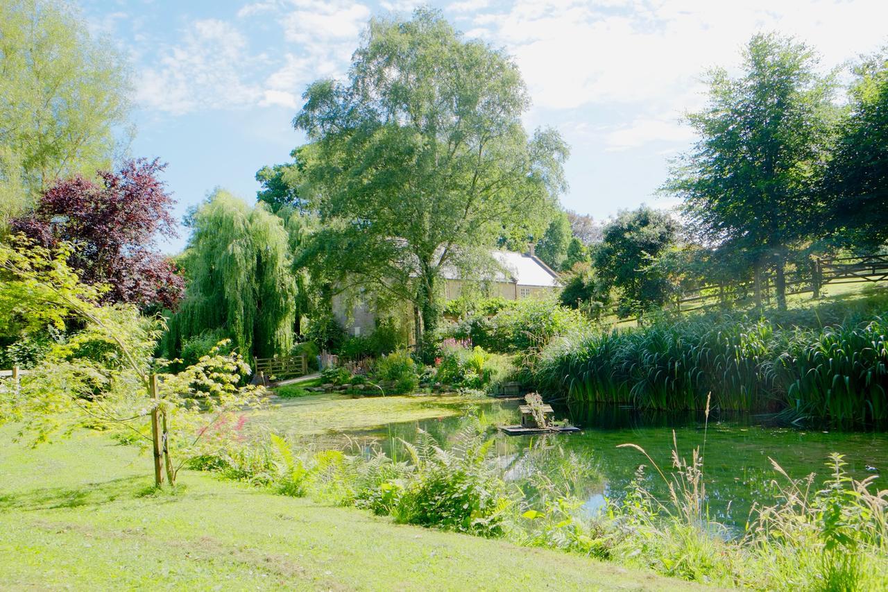 Bagnell Cottage Chiselborough 外观 照片