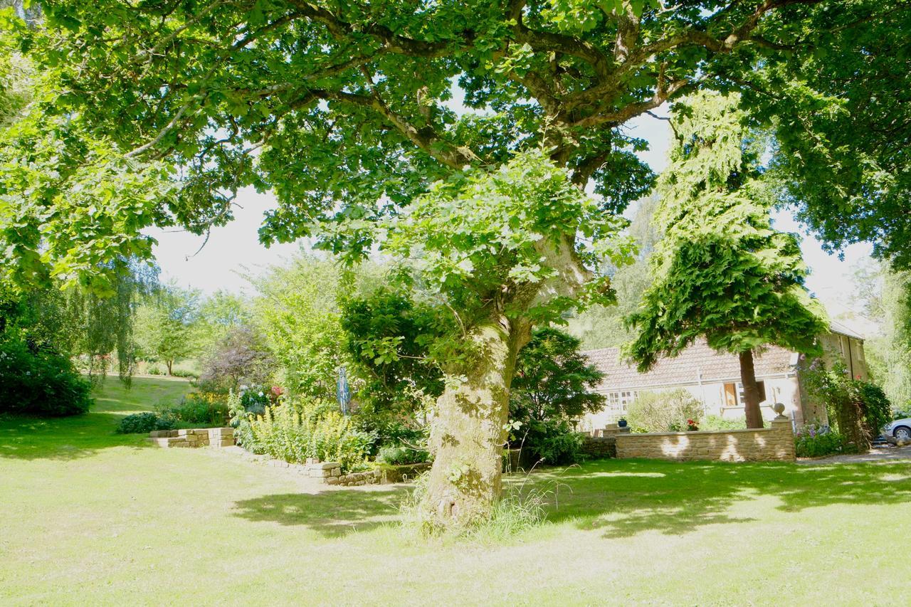Bagnell Cottage Chiselborough 外观 照片